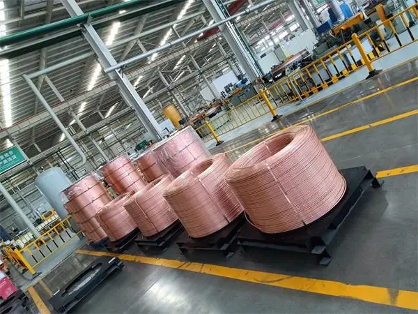 540484728_122163516332427137_6398862704231323219_n